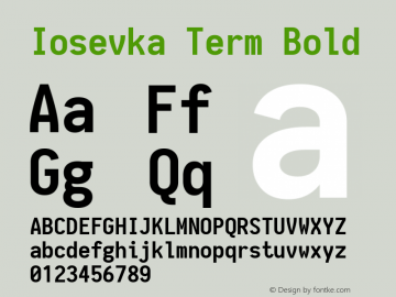 Iosevka Term Bold 1.12.2; ttfautohint (v1.6)图片样张
