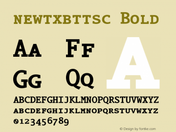 newtxbttsc Bold Version 3.0 Font Sample