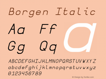 Borgen Italic Version 3图片样张