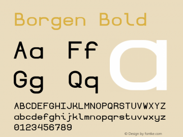 Borgen Bold Version 3 图片样张