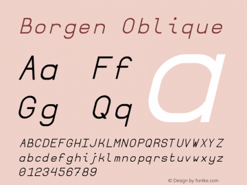 Borgen Oblique Version 3  Font Sample