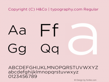 Copyright (C) H&Co | typography.com Regular Version 1.301 Font Sample