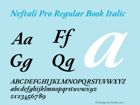 Neftali Pro Regular Book Italic Version 1.000;PS 001.000;hotconv 1.0.70;makeotf.lib2.5.58329 Font Sample