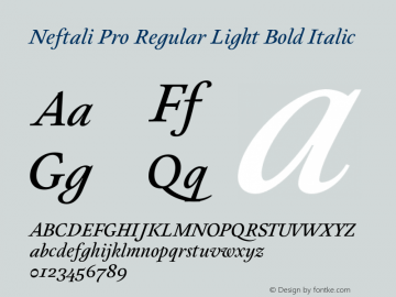 Neftali Pro Regular Light Bold Italic Version 1.000;PS 001.000;hotconv 1.0.70;makeotf.lib2.5.58329图片样张