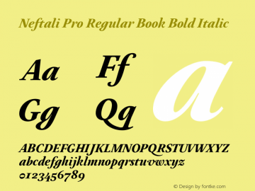 Neftali Pro Regular Book Bold Italic Version 1.000;PS 001.000;hotconv 1.0.70;makeotf.lib2.5.58329图片样张
