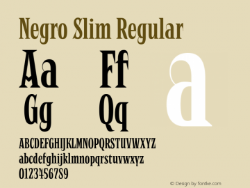 Negro Slim Regular Version 001.001;com.myfonts.easy.storm.negro.slim.wfkit2.version.4mFa Font Sample