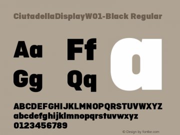 CiutadellaDisplayW01-Black Regular Version 1.00 Font Sample
