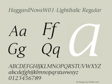 HaggardNovaW01-LightItalic Regular Version 1.00图片样张