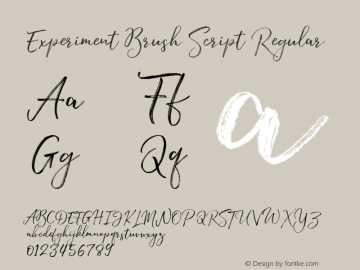 Experiment Brush Script Regular Version 001.001 Font Sample