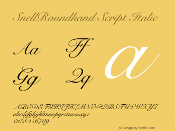 SnellRoundhand Script Italic V.1.0 Font Sample