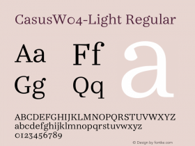 CasusW04-Light Regular Version 7.504图片样张