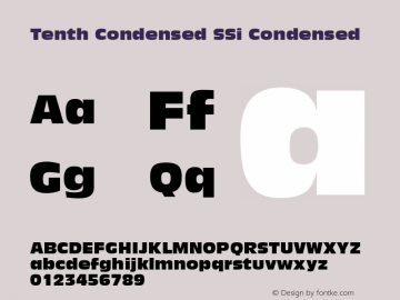 Tenth Condensed SSi Condensed 001.000图片样张