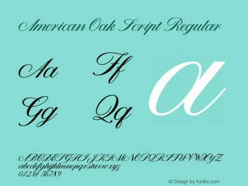 American Oak Script Regular Version 1.000;PS 001.000;hotconv 1.0.88;makeotf.lib2.5.64775 Font Sample