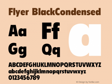 Flyer Black Condensed Version 001.000图片样张