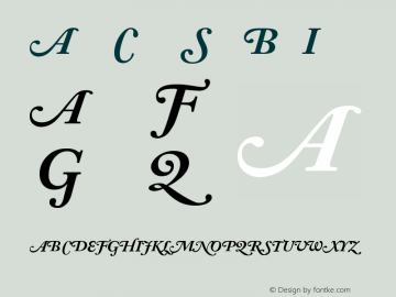 Adobe Caslon Bold Italic Swash Version 001.001 Font Sample