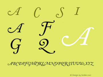 Adobe Caslon Italic Swash Version 001.001 Font Sample