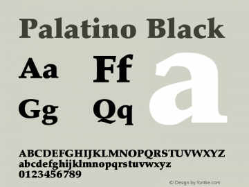 Palatino Black Version 001.000 Font Sample