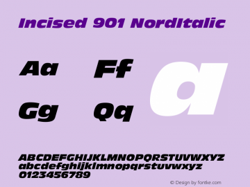 Incised 901 Nord Italic Version 003.001图片样张