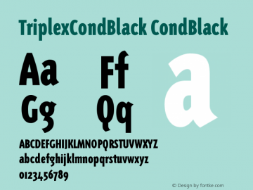 TriplexCondBlack Version 001.000图片样张