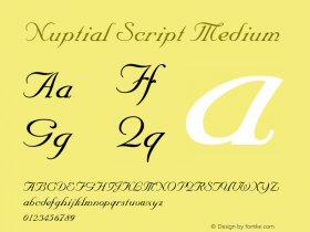 Nuptial Script Version 001.001 Font Sample