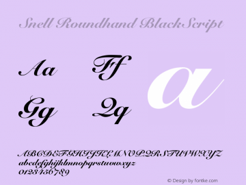 Snell Roundhand Black Script Version 001.001 Font Sample