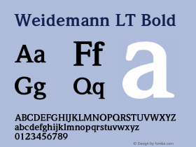 ITC Weidemann LT Bold Version 006.000图片样张