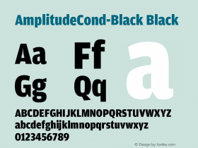 AmplitudeCond-Black Version 001.000图片样张