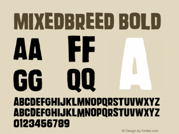 MixedBreed-Bold Version 001.000 Font Sample