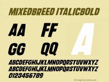 MixedBreed-BoldOblique Version 001.000 Font Sample