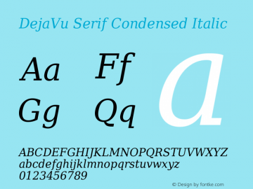 DejaVu Serif Condensed Italic Version 2.33图片样张