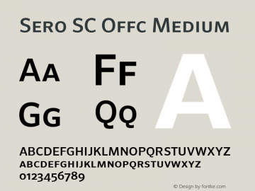 Sero SC Offc Medium Version 7.504; 2011; Build 1022图片样张