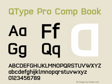 QTypePro-CompBook Version 7.504; 2010; Build 1021 Font Sample