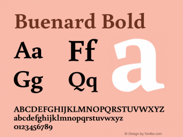 Buenard Bold Version 1.002 2011图片样张