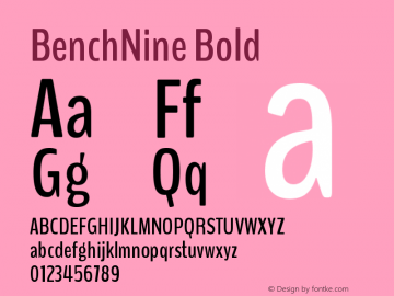 BenchNine Bold Version 1 Font Sample