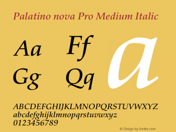 PalatinoNovaPro-MediumIt Version 1.000;PS 001.000;hotconv 1.0.38 Font Sample