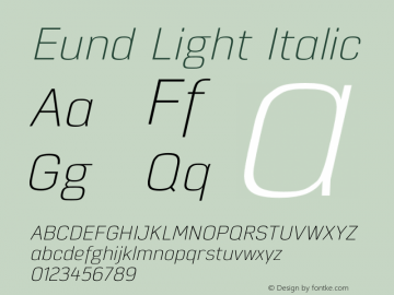Eund Light Italic Version 1.001;PS 001.001;hotconv 1.0.70;makeotf.lib2.5.58329图片样张