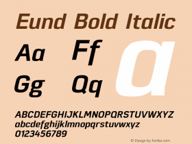 Eund Bold Italic Version 1.001;PS 001.001;hotconv 1.0.70;makeotf.lib2.5.58329图片样张