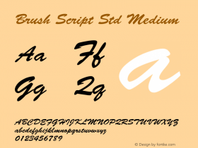 Brush Script Std Medium OTF 1.020;PS 001.003;Core 1.0.31;makeotf.lib1.4.1585图片样张