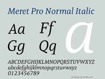 MeretPro-NormalItalic WF图片样张