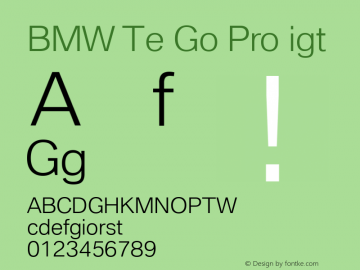 BMW Type Global Pro Light Version 2.20图片样张