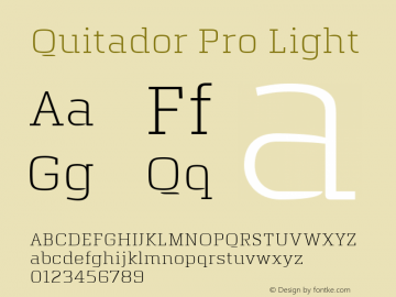 Quitador Pro Light Version 1.00图片样张