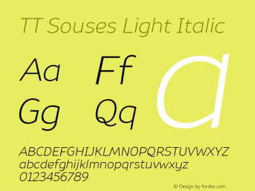 ☞TT Souses Light Italic Version 1.000;com.myfonts.type-type.tt-souses.light-italic.wfkit2.4e6W图片样张