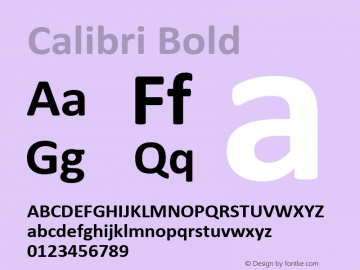 Calibri Bold Version 1.02 Font Sample