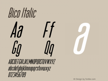Bico-Italic Version 001.000图片样张