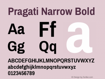 Pragati Narrow Bold Version 1.010; ttfautohint (v1.3) Font Sample