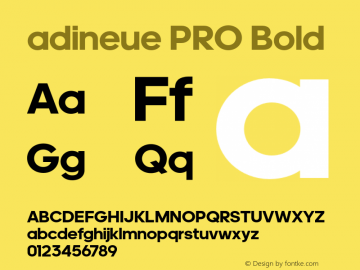 adineue PRO Bold Version 1.014;PS 1.0;hotconv 1.0.79;makeotf.lib2.5.61930 Font Sample