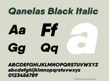 Qanelas-BlackItalic Version 1.000;PS 001.000;hotconv 1.0.88;makeotf.lib2.5.64775图片样张