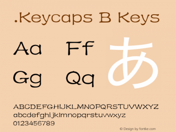 .Keycaps B Keys Version 1.00 October 19, 2015, initial release图片样张