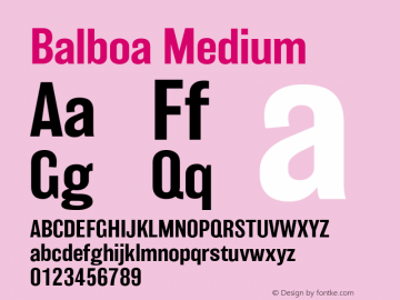 Balboa-Medium 2.000;com.myfonts.easy.parkinson.balboa.balboa-medium.wfkit2.version.4kjP图片样张