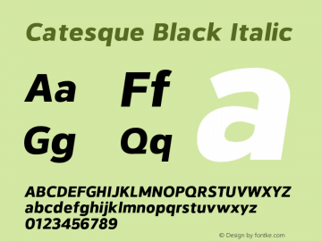 Catesque-BlackItalic Version 1.000;PS 001.000;hotconv 1.0.70;makeotf.lib2.5.58329; ttfautohint (v1.3)图片样张